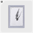 アートポストカード-Woman Swinging on Rings
 - セントルイス美術館 Postcard.