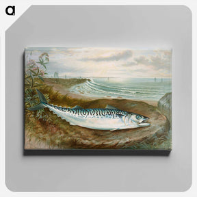 アートパネル-Mackerel Fish
 - サミュエル キルボーン Canvas.