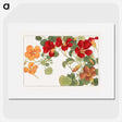 1-10_Seiyo-Soka-Zufu_picture