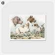 1-10_Sporting-Sketches_postcard