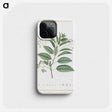 1-10_Stirpes-Novae_phone