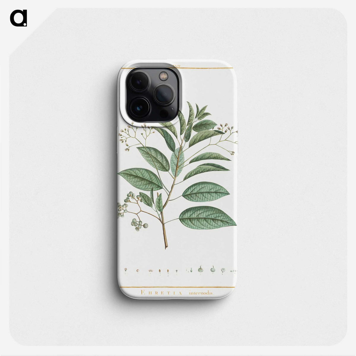 1-10_Stirpes-Novae_phone