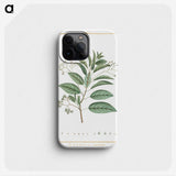 1-10_Stirpes-Novae_phone