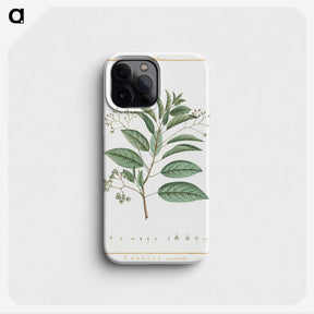 1-10_Stirpes-Novae_phone
