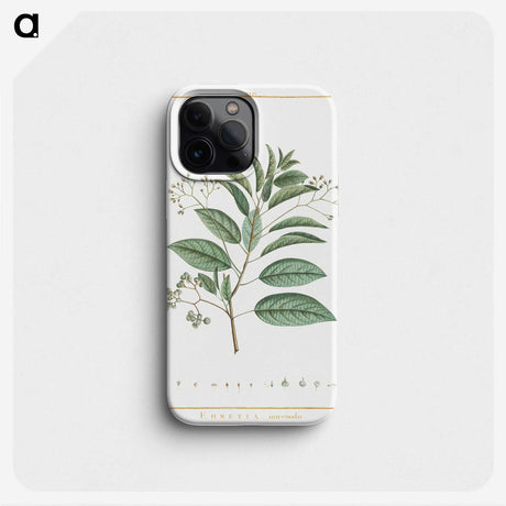 1-10_Stirpes-Novae_phone