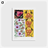 1-10_Suggestions-Pour-Etoffes-et-Tapis_postcard