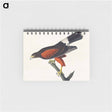 アートメモ帳-Louisiana Hawk from Birds of America
 - アメリカの鳥たち Memo.