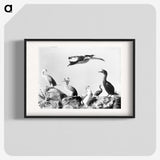 1-10_The-Burton-Brothers_blk