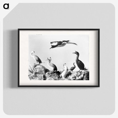 1-10_The-Burton-Brothers_blk