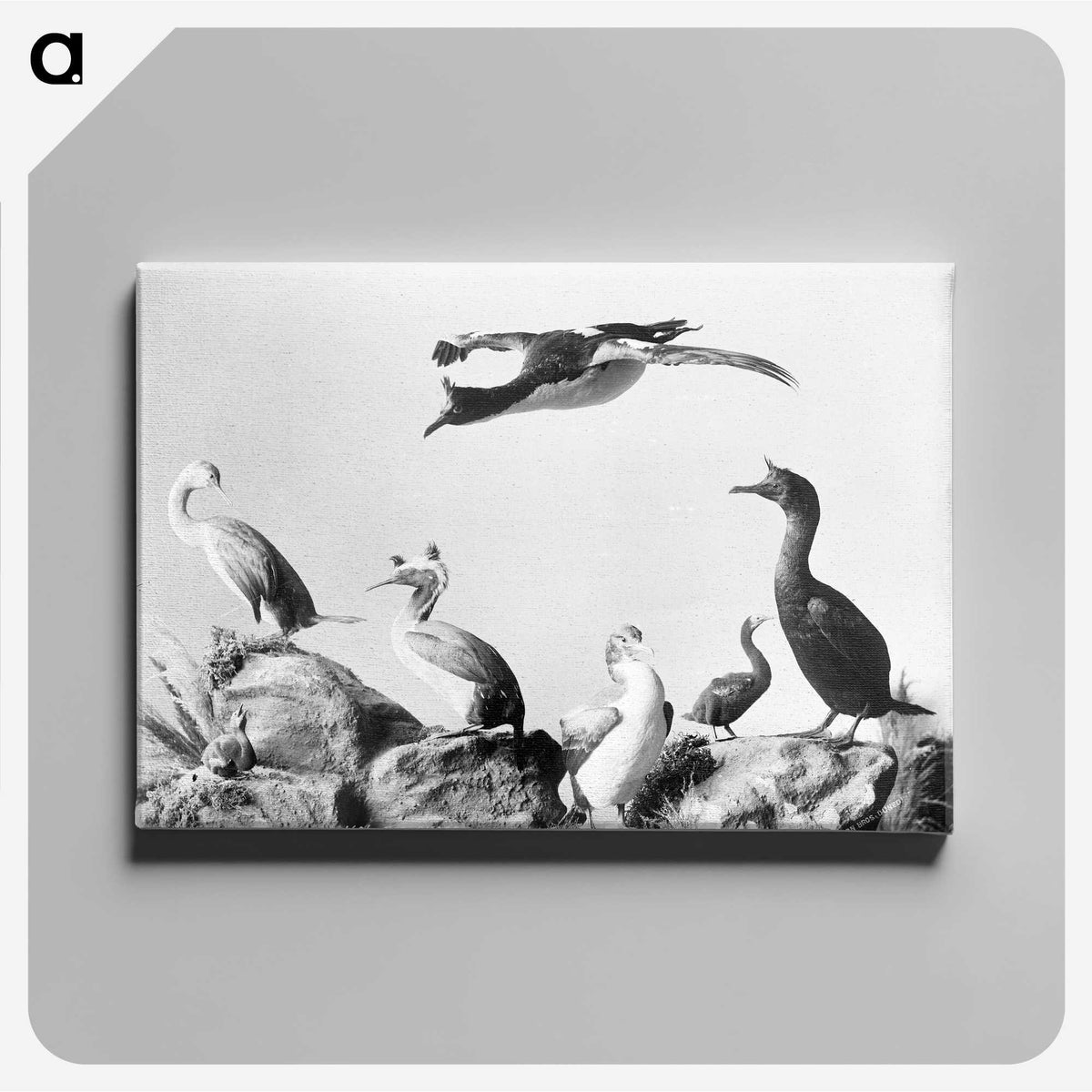 1-10_The-Burton-Brothers_canvas
