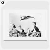 1-10_The-Burton-Brothers_picture
