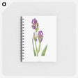 1-10_The-Genus-Iris_memo