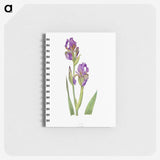 1-10_The-Genus-Iris_memo