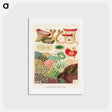アートポストカード-Great Barrier Reef Corals - オーストラリアのグレートバリアリーフ Postcard.
