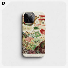 1-10_The-Great-Barrier-Reef-of-Australia_phone