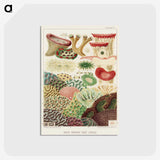 1-10_The-Great-Barrier-Reef-of-Australia_postcard
