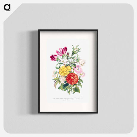 アートポスター-White Violet, Small Bindweed, Red and White Rosebud and Asiatic Ranunculus
 - 花言葉 Poster.