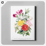 アートパネル-White Violet, Small Bindweed, Red and White Rosebud and Asiatic Ranunculus
 - 花言葉 Canvas.