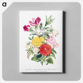アートパネル-White Violet, Small Bindweed, Red and White Rosebud and Asiatic Ranunculus
 - 花言葉 Canvas.