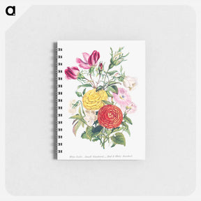 アートメモ帳-White Violet, Small Bindweed, Red and White Rosebud and Asiatic Ranunculus
 - 花言葉 Memo.