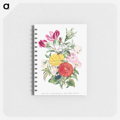 アートメモ帳-White Violet, Small Bindweed, Red and White Rosebud and Asiatic Ranunculus
 - 花言葉 Memo.