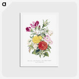 1-10_The-Language-of-Flowers_hagaki