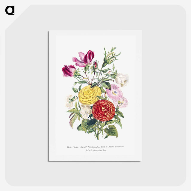 1-10_The-Language-of-Flowers_hagaki