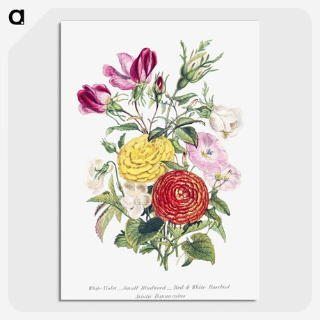 1-10_The-Language-of-Flowers_picture-crop