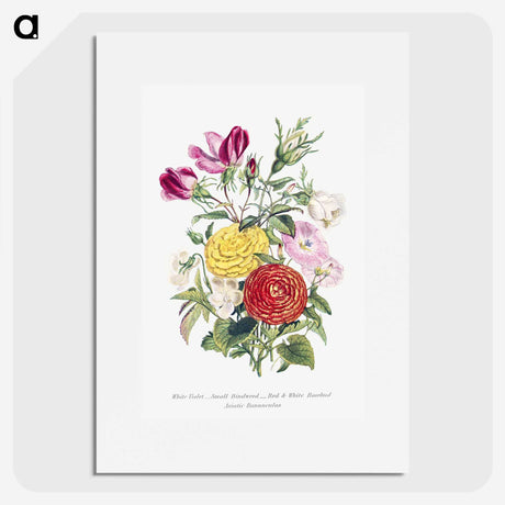 1-10_The-Language-of-Flowers_picture