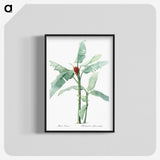 1-10_The-Lilies_blk-crop