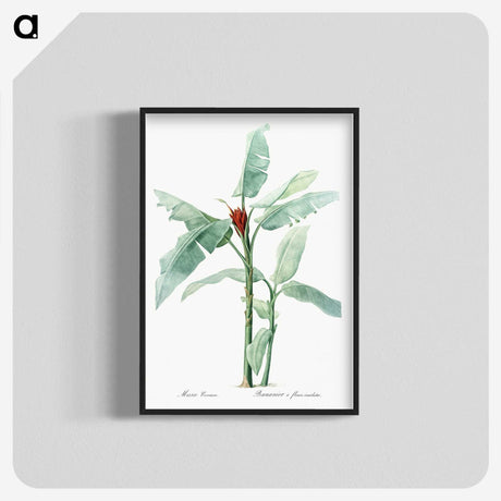 1-10_The-Lilies_blk-crop