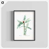 1-10_The-Lilies_blk