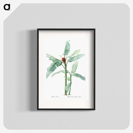 1-10_The-Lilies_blk