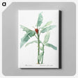 1-10_The-Lilies_canvas