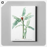 1-10_The-Lilies_canvas