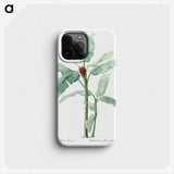 1-10_The-Lilies_phone