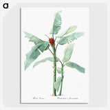 1-10_The-Lilies_picture-crop