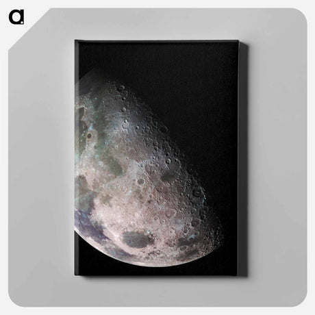 アートパネル-Moon - North Polar Mosaic
 - ムーン Canvas.