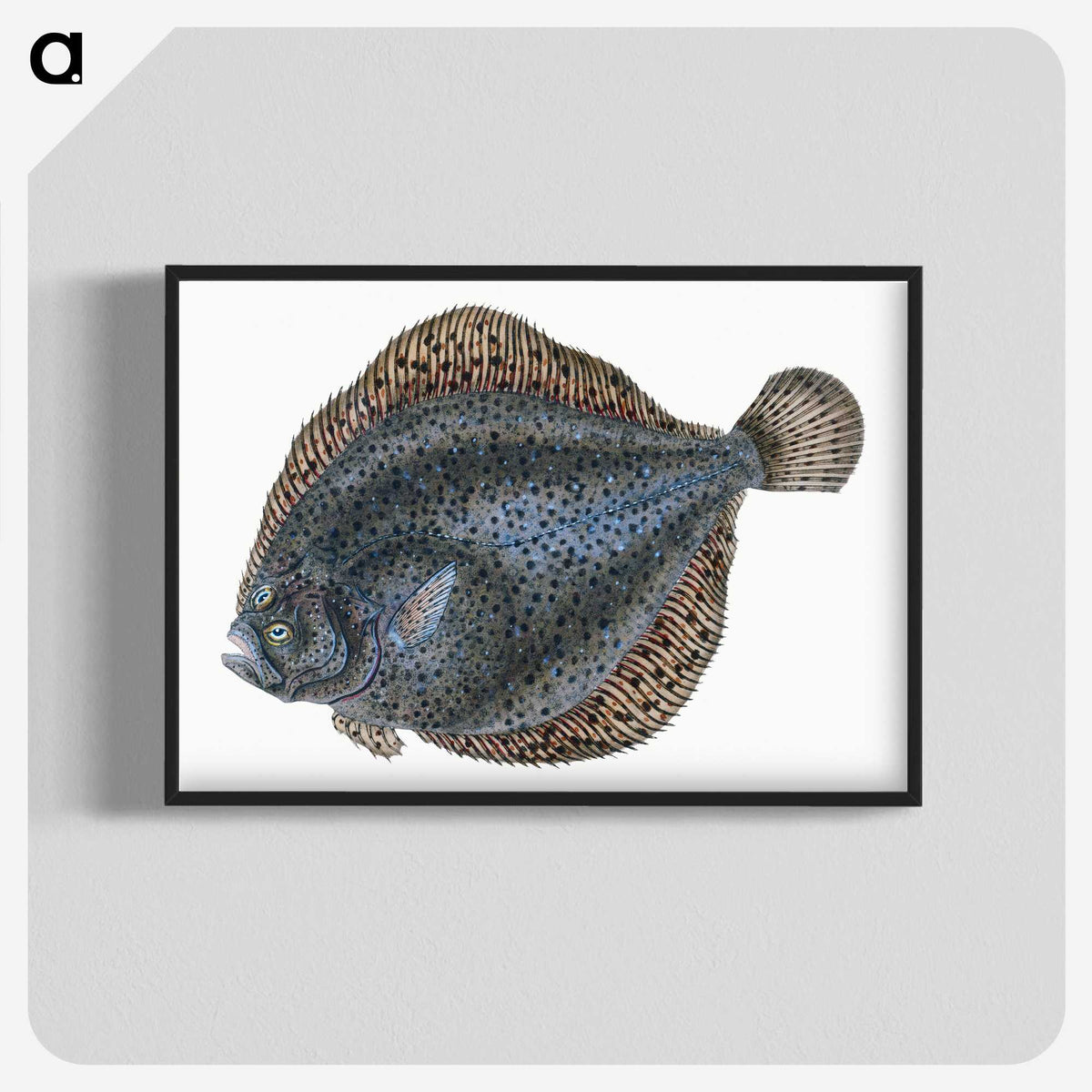 1-10_The-Natural-History-of-British-Fishes_blk-crop