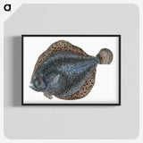 1-10_The-Natural-History-of-British-Fishes_blk-crop
