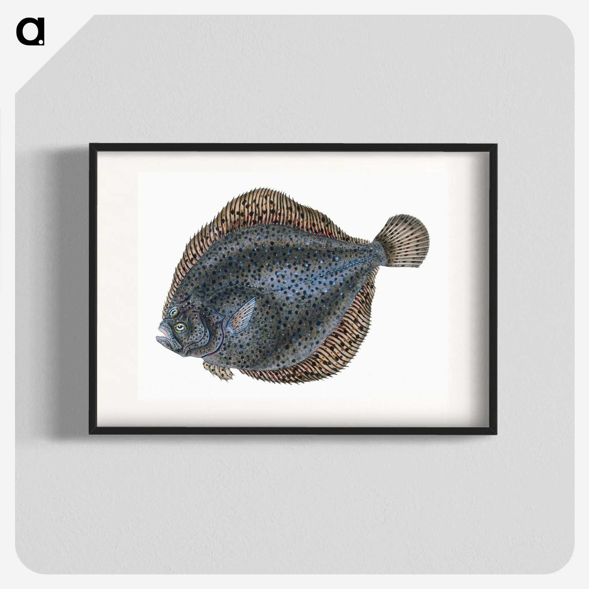 1-10_The-Natural-History-of-British-Fishes_blk