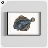 1-10_The-Natural-History-of-British-Fishes_blk