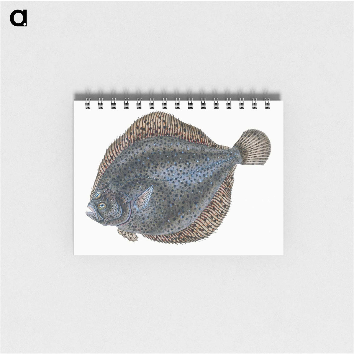 1-10_The-Natural-History-of-British-Fishes_memo