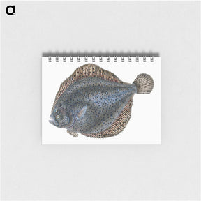 1-10_The-Natural-History-of-British-Fishes_memo
