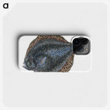 1-10_The-Natural-History-of-British-Fishes_phone