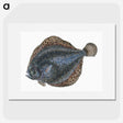1-10_The-Natural-History-of-British-Fishes_picture