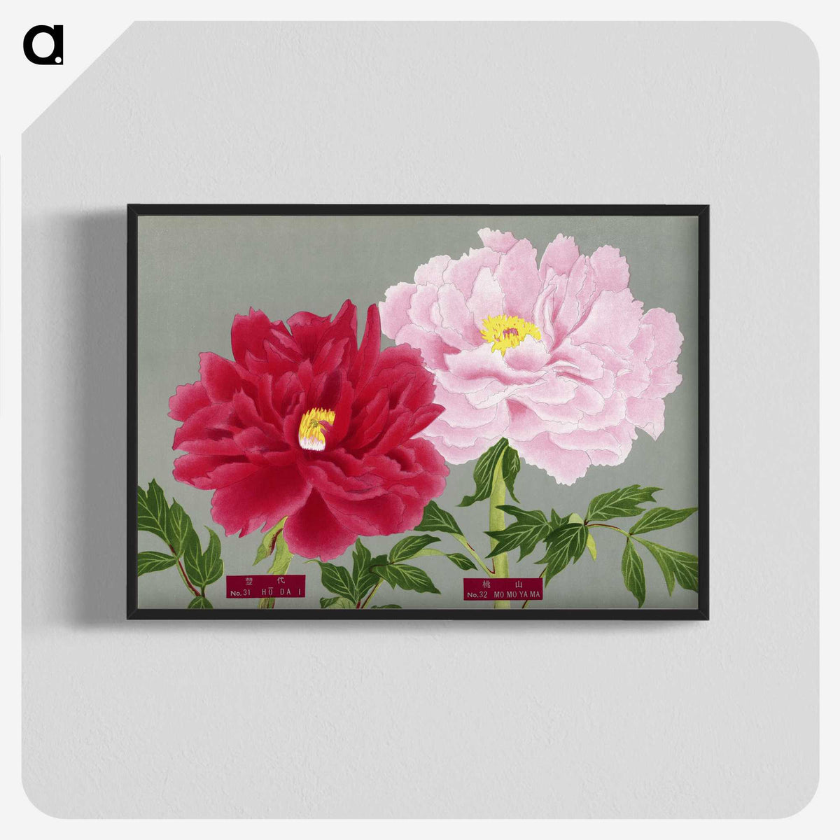 1-10_The-Picture-Book-of-Peonies_blk-crop