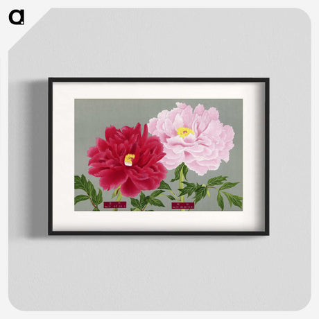 1-10_The-Picture-Book-of-Peonies_blk