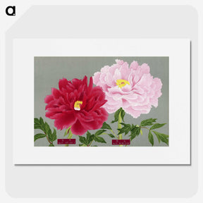 1-10_The-Picture-Book-of-Peonies_picture