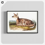 1-10_The-Viviparous-Quadrupeds_blk-crop